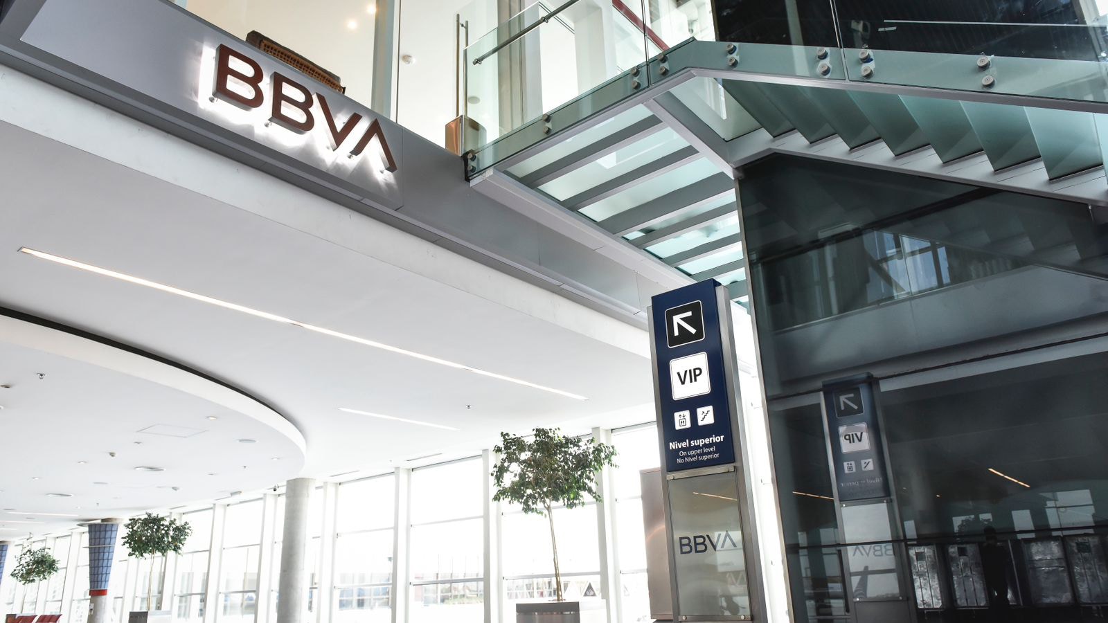 visa airport companion