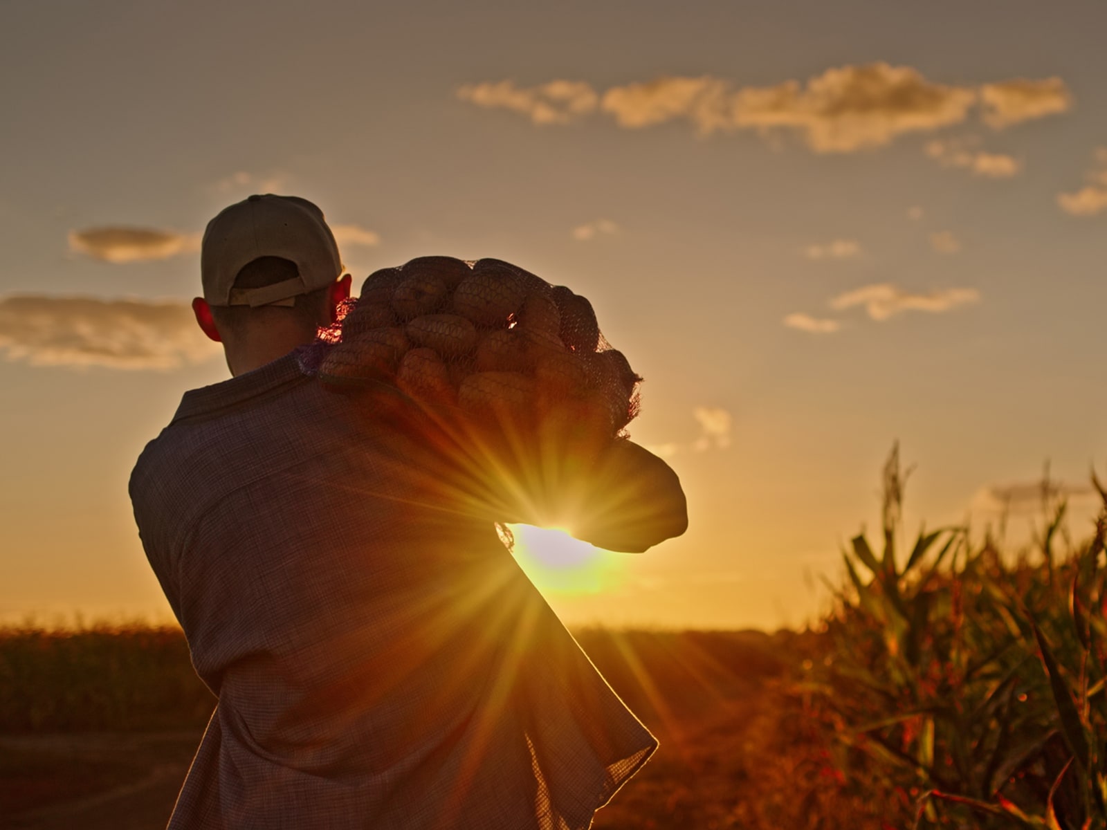 buscador de convenios