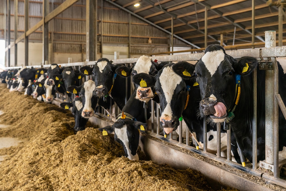 Prenda para compra de maquinaria agrícola