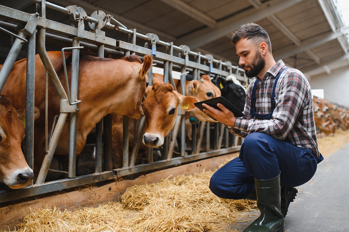 ciclos ganaderos y tambo
