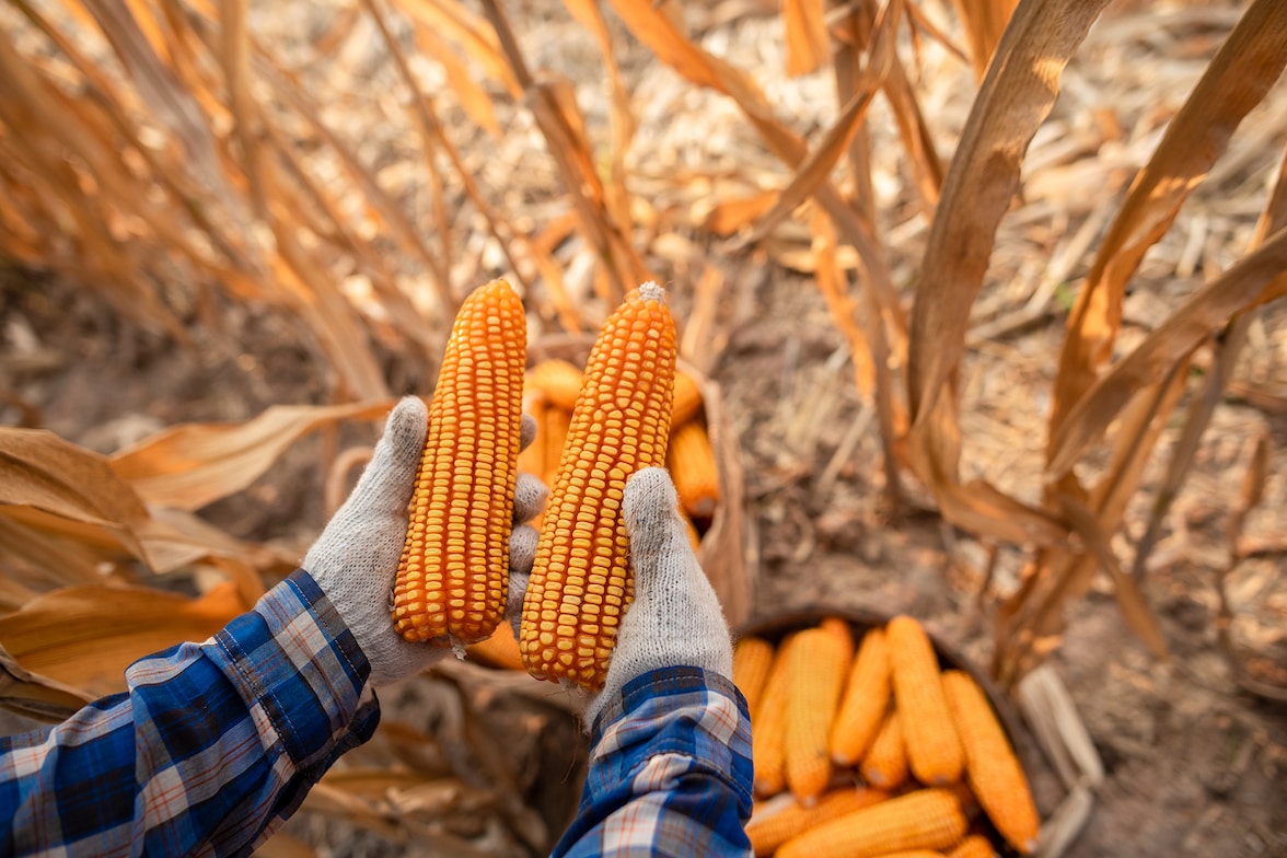 prefinanciacion de exportacion