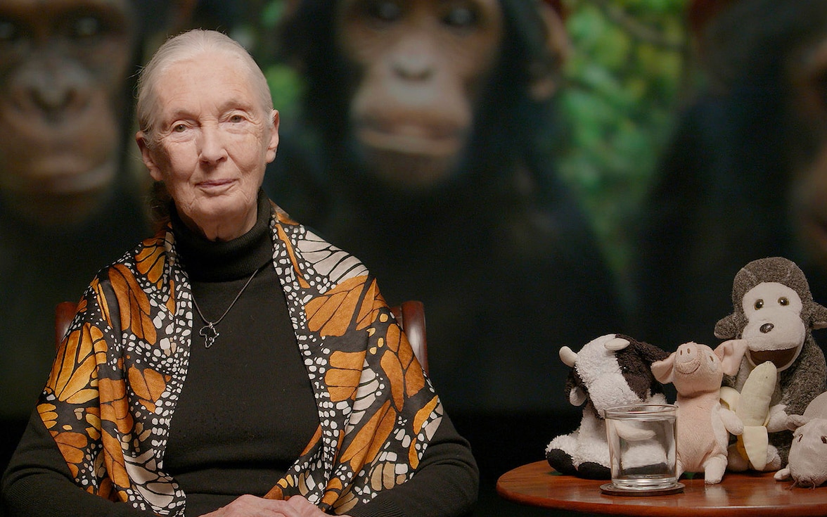Jane Goodall