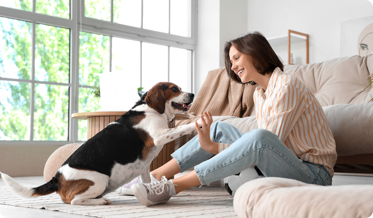 enfermedad garrapata