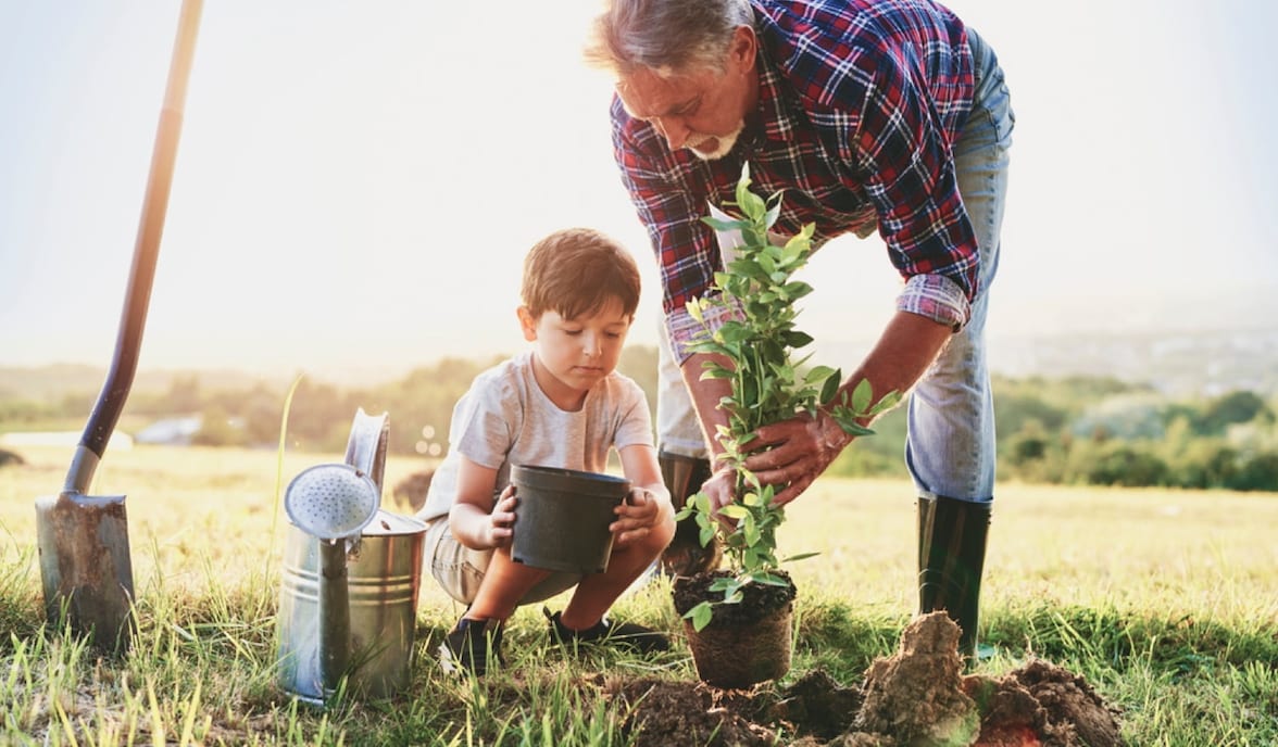 bbva cuida medio ambiente